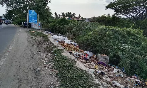 மாமிச கழிவுகளால் துர்நாற்றம் மாமிச கழிவுகளால் துர்நாற்றம்