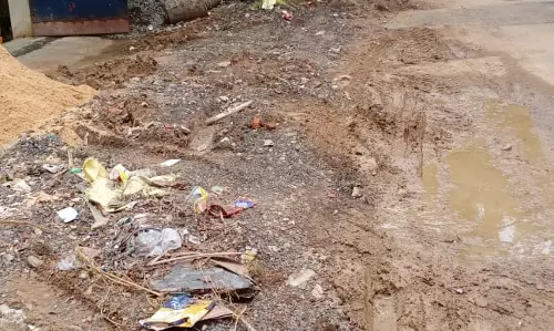 சாலைவாசிகள் அவதி