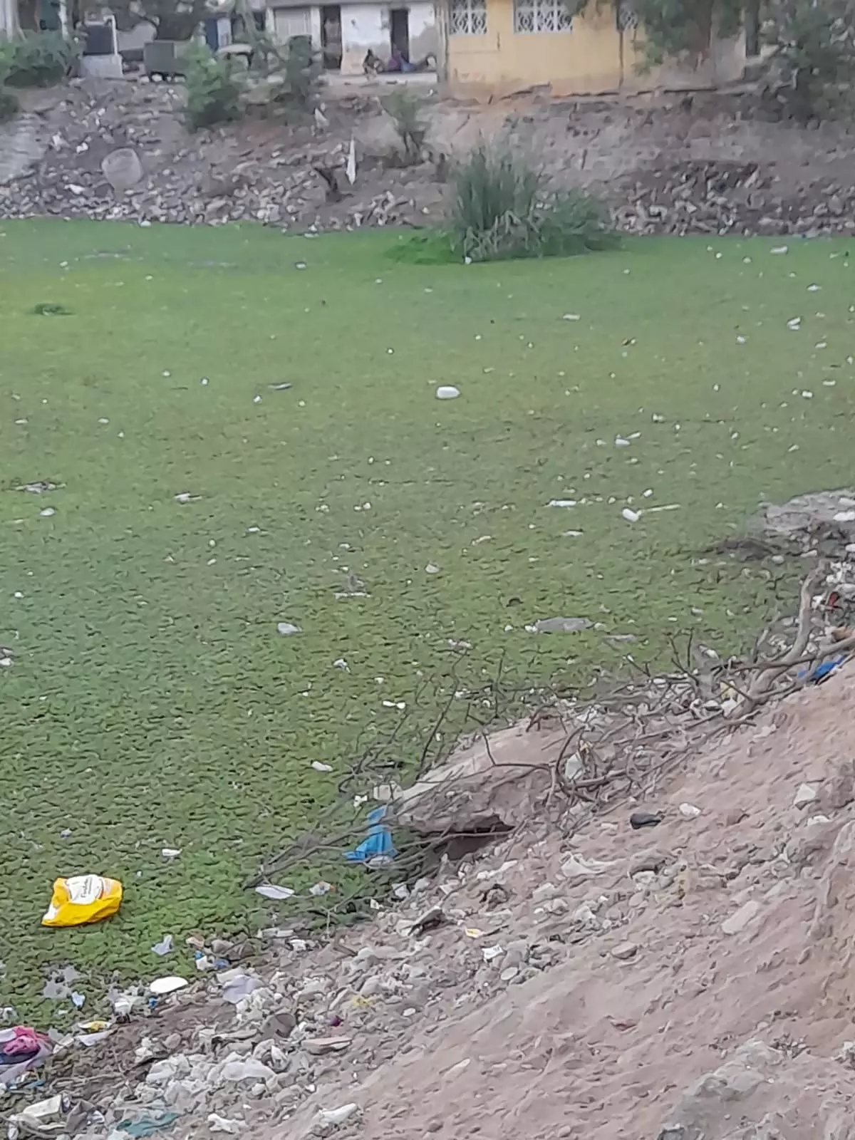 குளம் தூர்வாரப்படுமா? குளம் தூர்வாரப்படுமா?