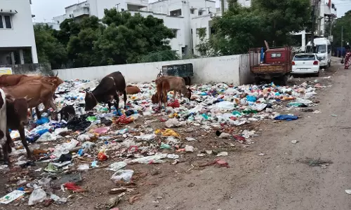 சுகாதார சீர்கேடு சுகாதார சீர்கேடு