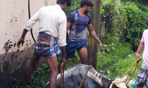 ஆபத்தான கால்வாய்