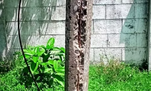 எழும்புக்கூடான மின்கம்பம் எழும்புக்கூடான மின்கம்பம்