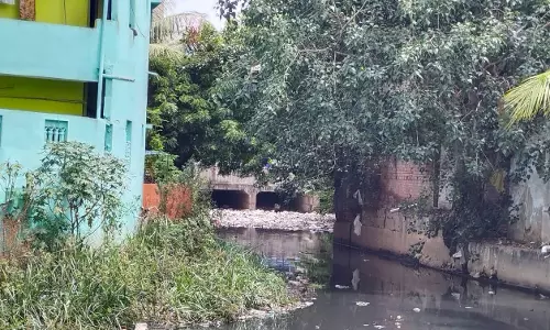 கால்வாயில் குப்பைகள்