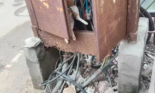 திறந்த நிலையில் மின் இணைப்பு பெட்டி