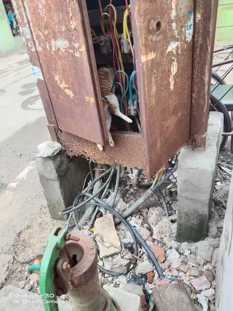 திறந்த நிலையில் மின் இணைப்பு பெட்டி திறந்த நிலையில் மின் இணைப்பு பெட்டி