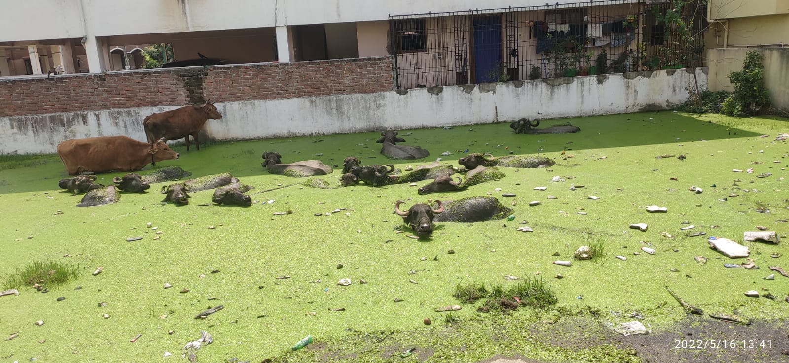 அலட்சியம் வேண்டாமே! அலட்சியம் வேண்டாமே!