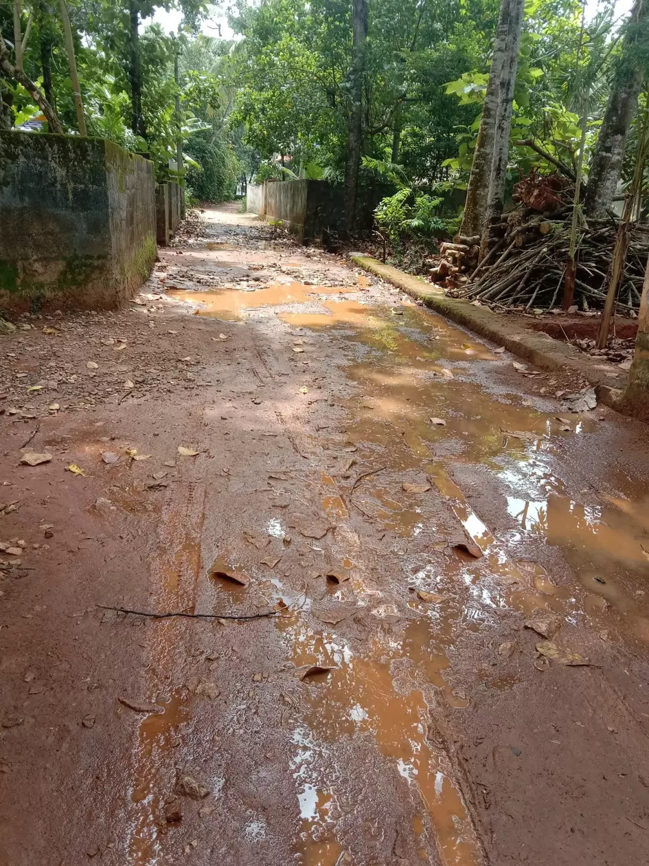 சாலையை சீரமைக்க வேண்டும் சாலையை சீரமைக்க வேண்டும்