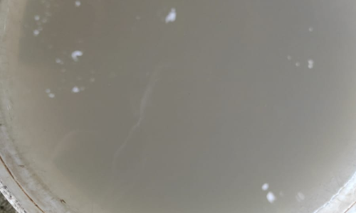 குடிநீரில் கலந்து வரும் கழிவுநீர்