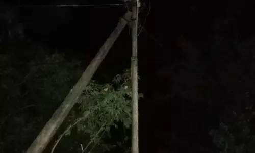 மின்விளக்குகள் ஒளிருமா? மின்விளக்குகள் ஒளிருமா?