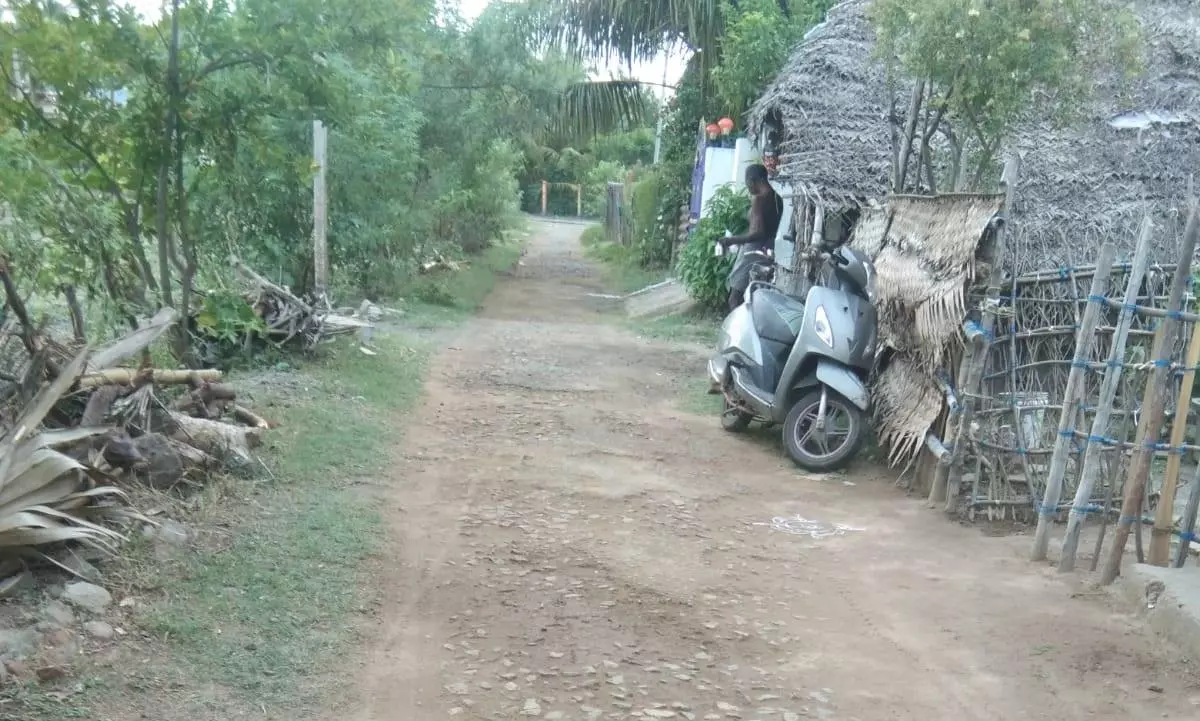 தார் சாலை அமைக்கப்படுமா?