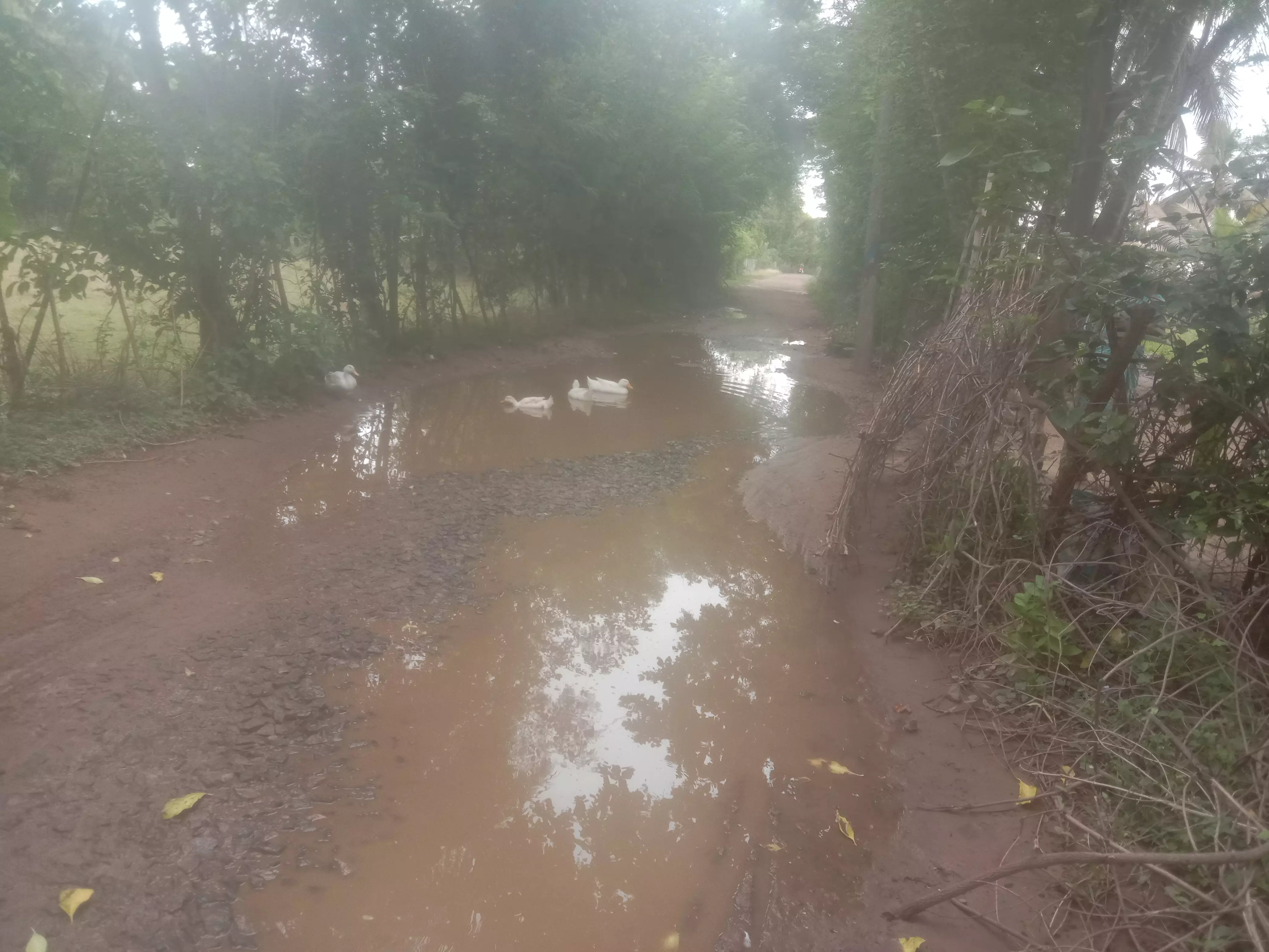 சேறும், சகதியுமான சாலை