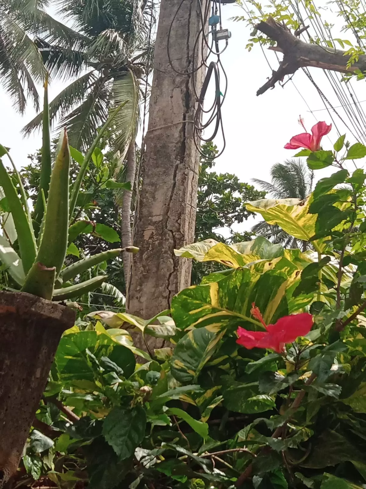 சேதமடைந்த மின்கம்பம் சேதமடைந்த மின்கம்பம்