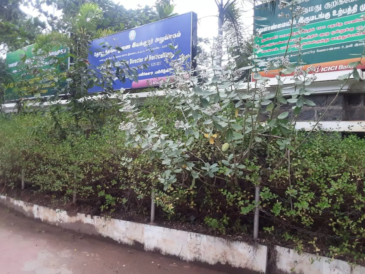 பராமரிப்பு ேதவை பராமரிப்பு ேதவை