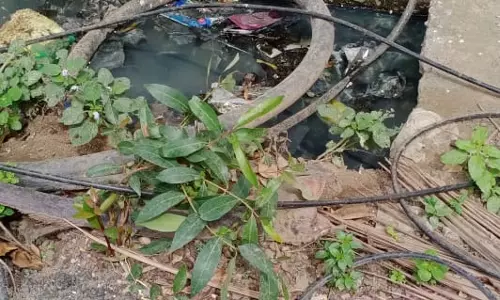 ஆபத்தான மின்சார கேபிள்