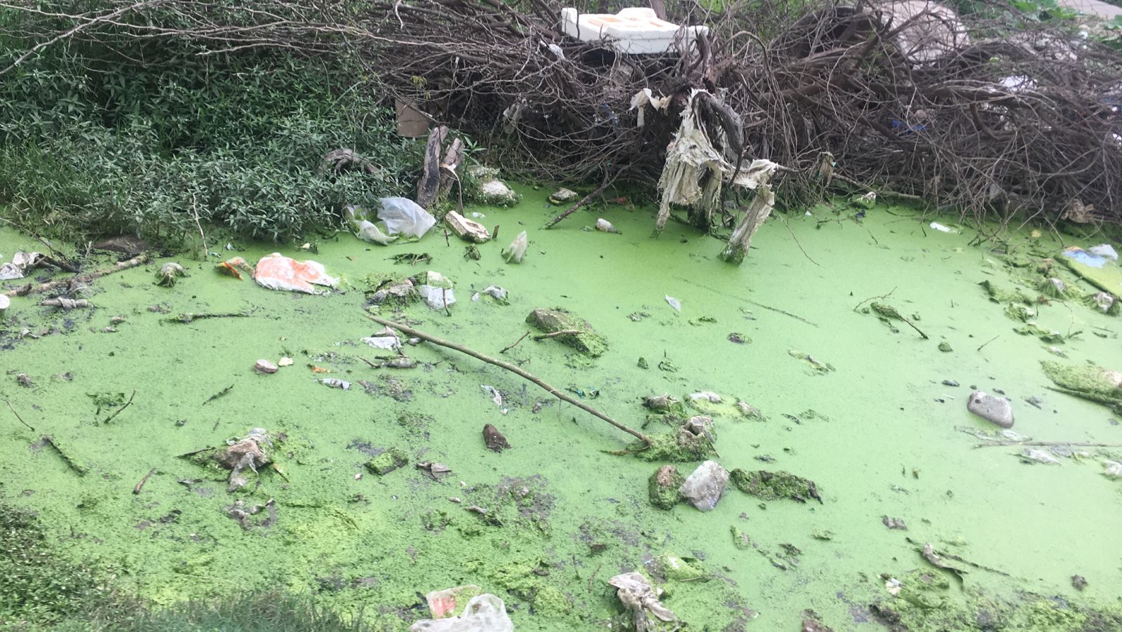 ஒரே இடத்தில் குப்பைகளும் கழிவுநீரும் ஒரே இடத்தில் குப்பைகளும் கழிவுநீரும்