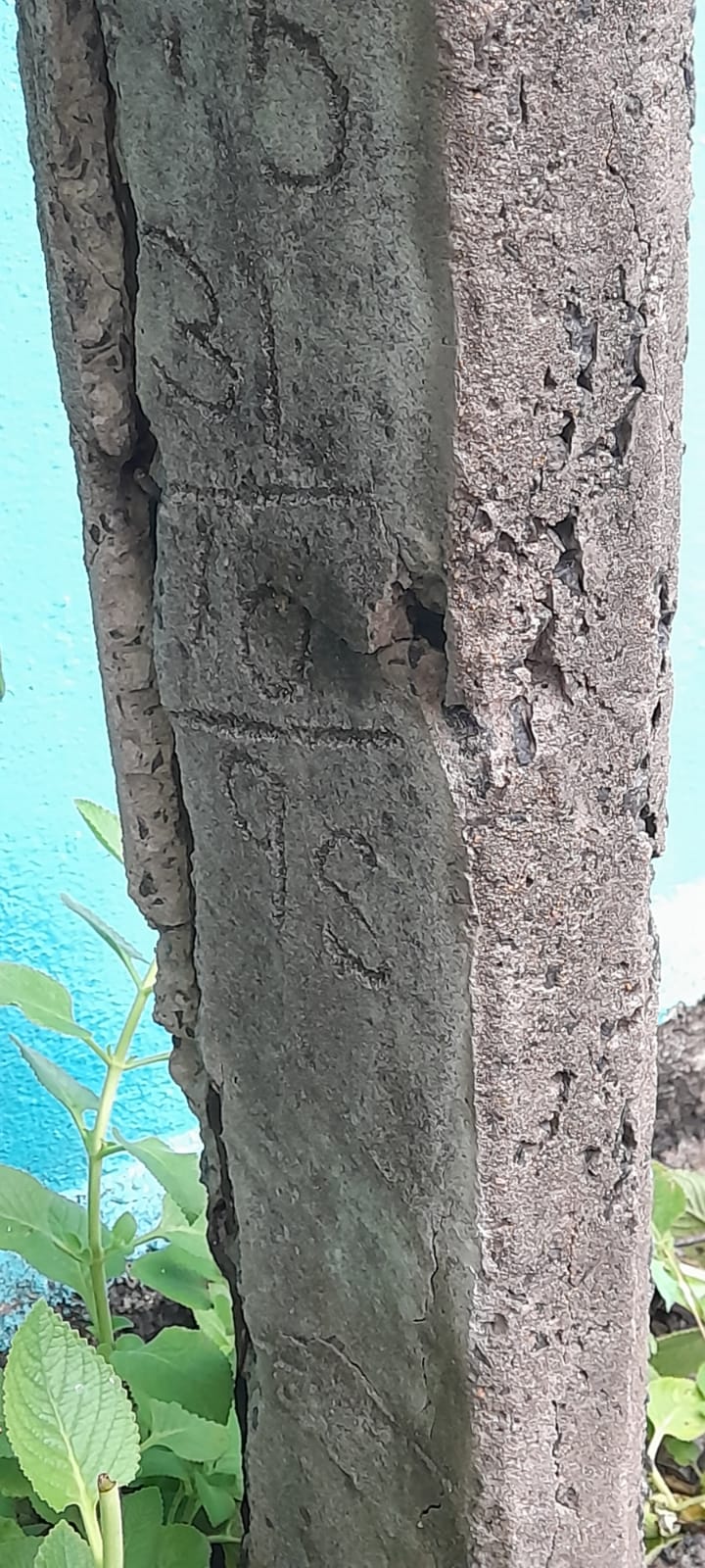 நடவடிக்கை எடுக்கப்படுமா? நடவடிக்கை எடுக்கப்படுமா?