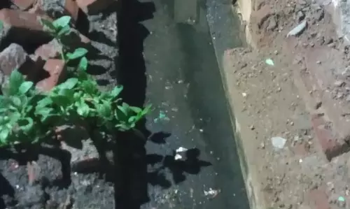 சாக்கடை கால்வாயில் அடைப்பு சாக்கடை கால்வாயில் அடைப்பு