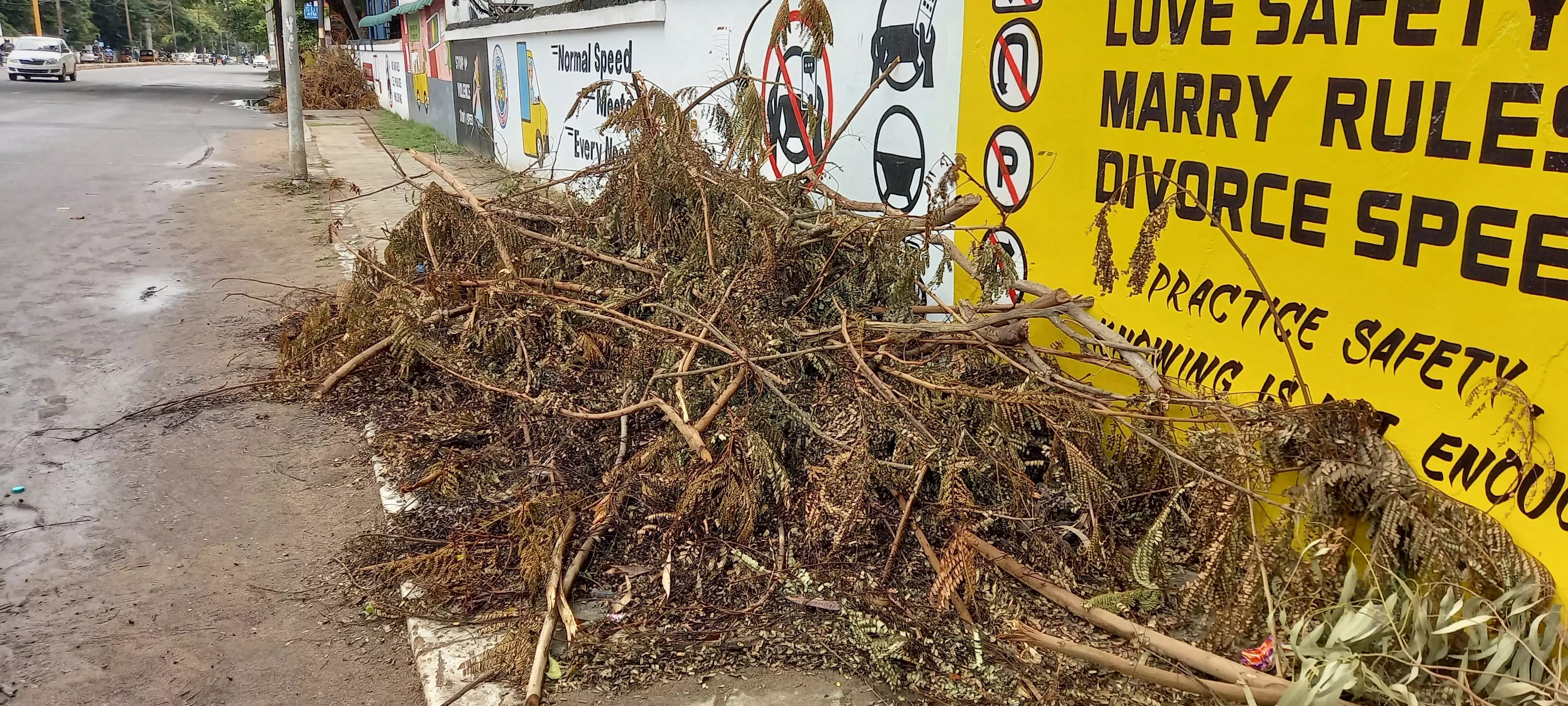 நடைபாதையை ஆக்கிரமித்த மரக்கிளைகள் நடைபாதையை ஆக்கிரமித்த மரக்கிளைகள்