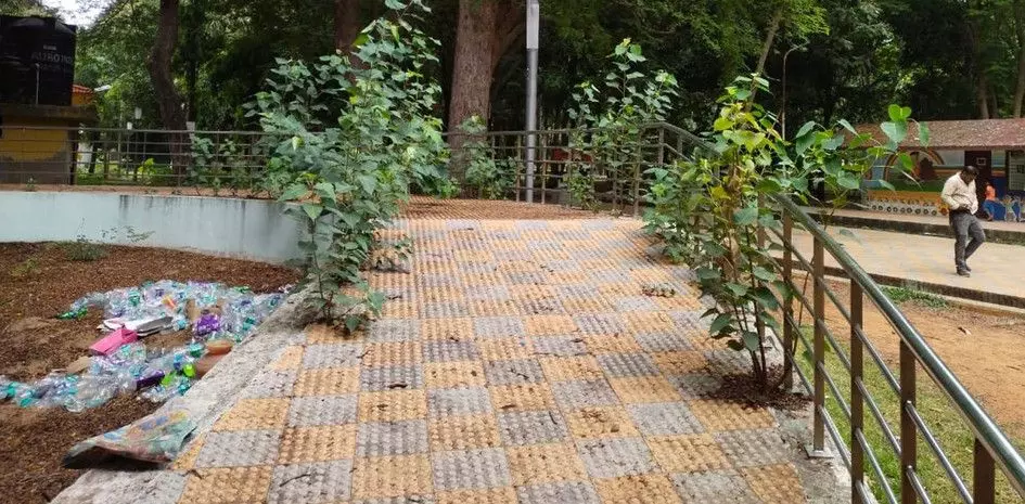 பராமரிப்பு இல்லாத பூங்கா பராமரிப்பு இல்லாத பூங்கா