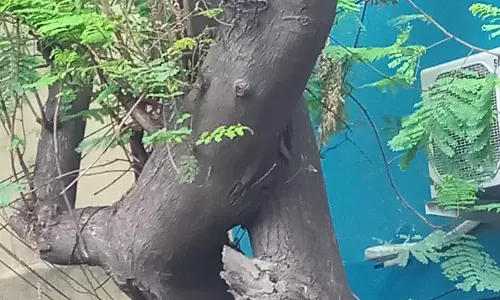 நடவடிக்கைக்கு நன்றி