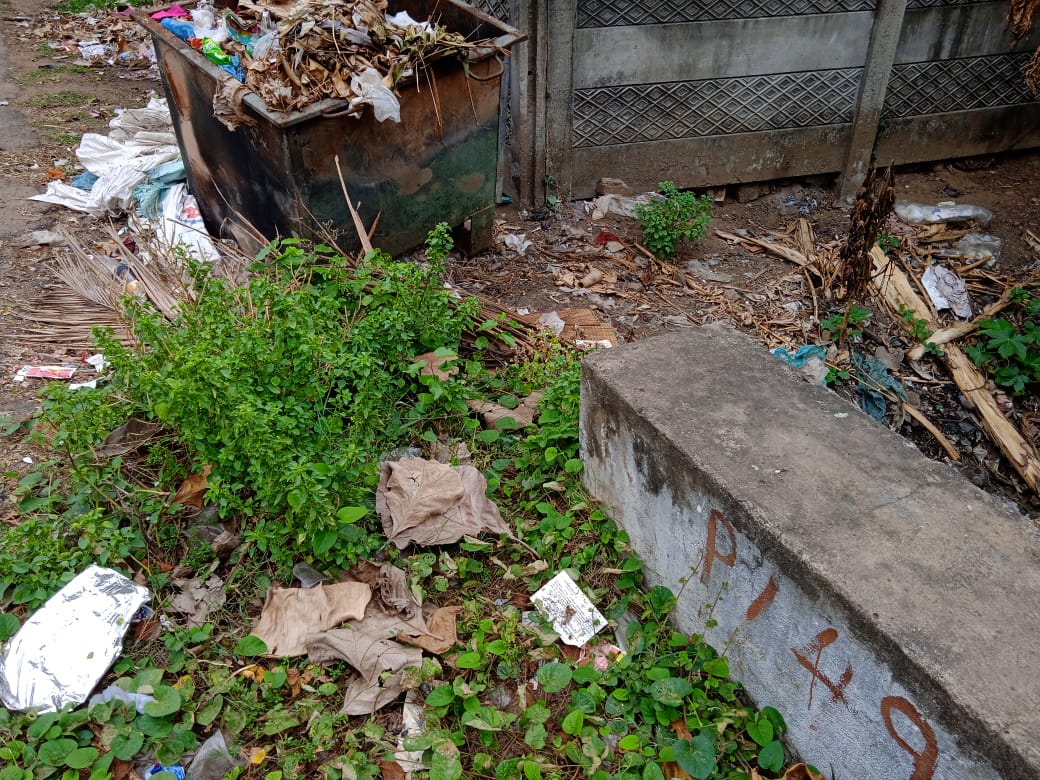 குப்பைகள் அகற்றப்படுமா?