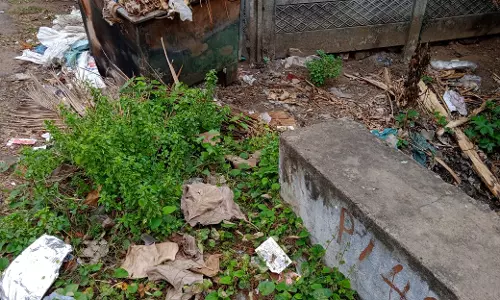 குப்பைகள் அகற்றப்படுமா?