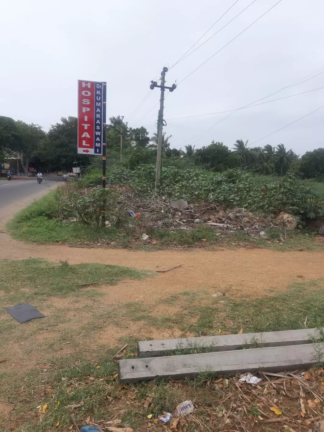 செடிகளை அகற்ற வேண்டும்