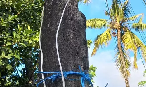 ஆபத்தான மின்கம்பம் ஆபத்தான மின்கம்பம்