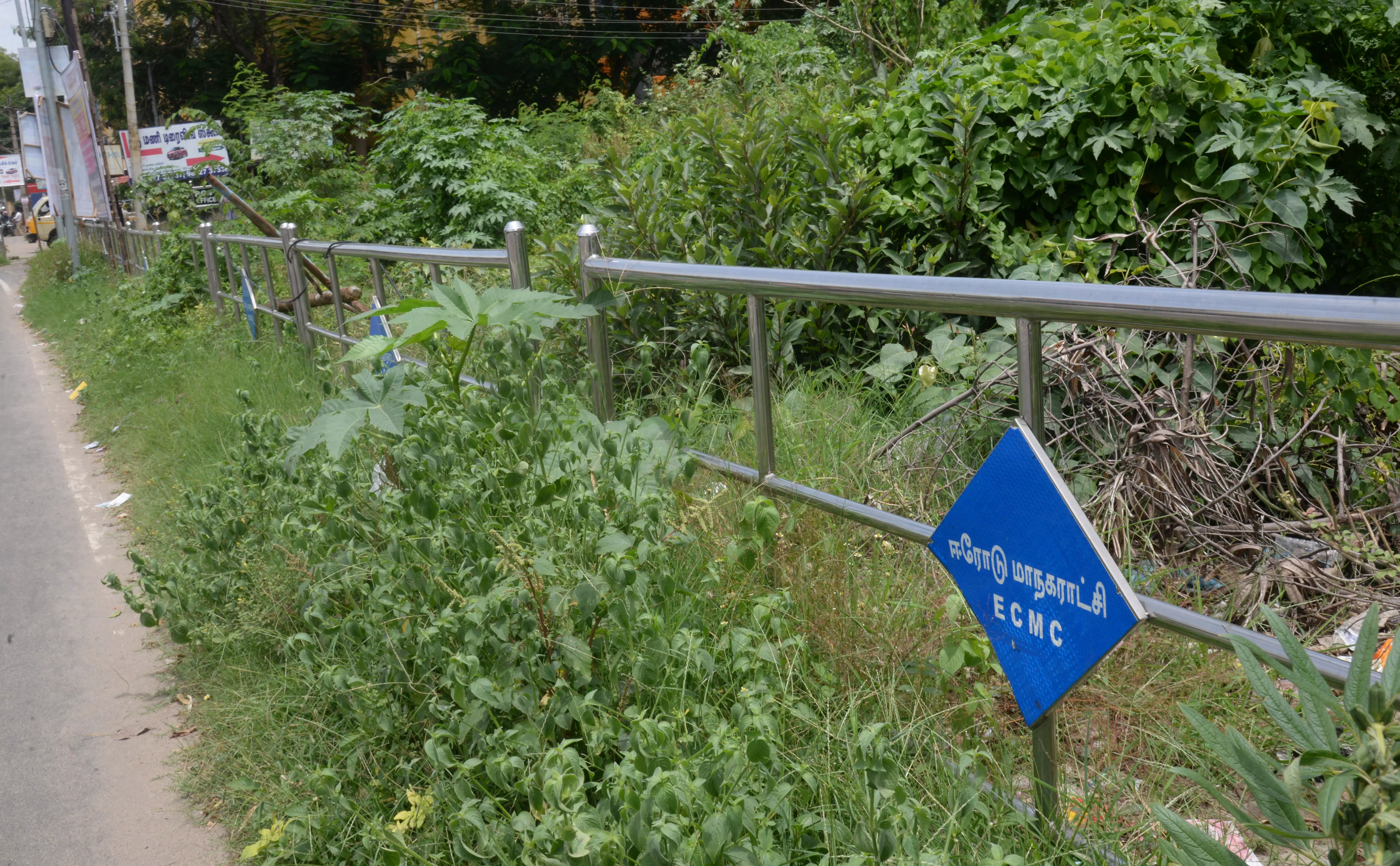 புதர்கள் அகற்றப்படுமா? புதர்கள் அகற்றப்படுமா?