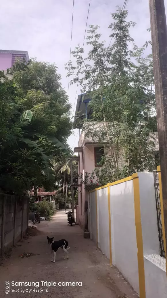 தாழ்வாக செல்லும் மின் கம்பிகள்