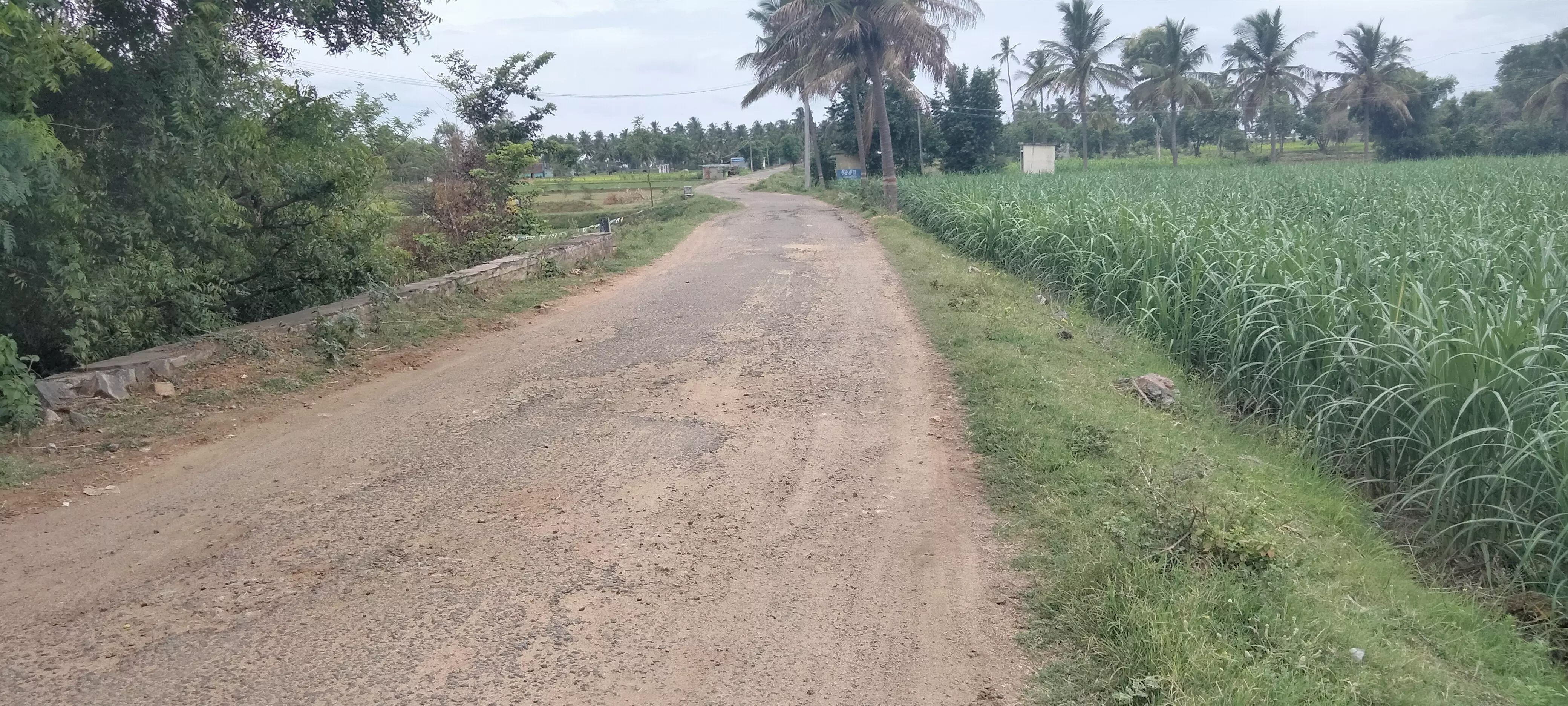 சாலை சீரமைப்பு