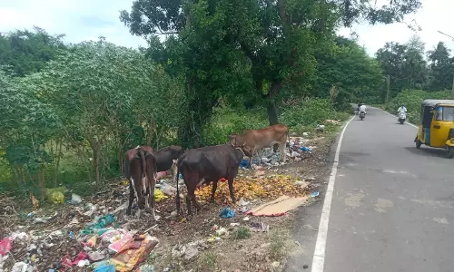 சாலையோரம் கொட்டப்படும் குப்பை