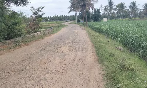 சாலை சீரமைக்கப்படுமா? சாலை சீரமைக்கப்படுமா?