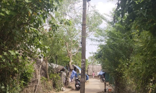 சாலை நடுவே மின்கம்பம் சாலை நடுவே மின்கம்பம்