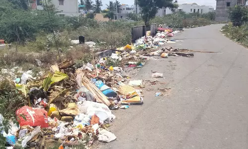 சாலையோரத்தில் குவியும் குப்பைகள் சாலையோரத்தில் குவியும் குப்பைகள்