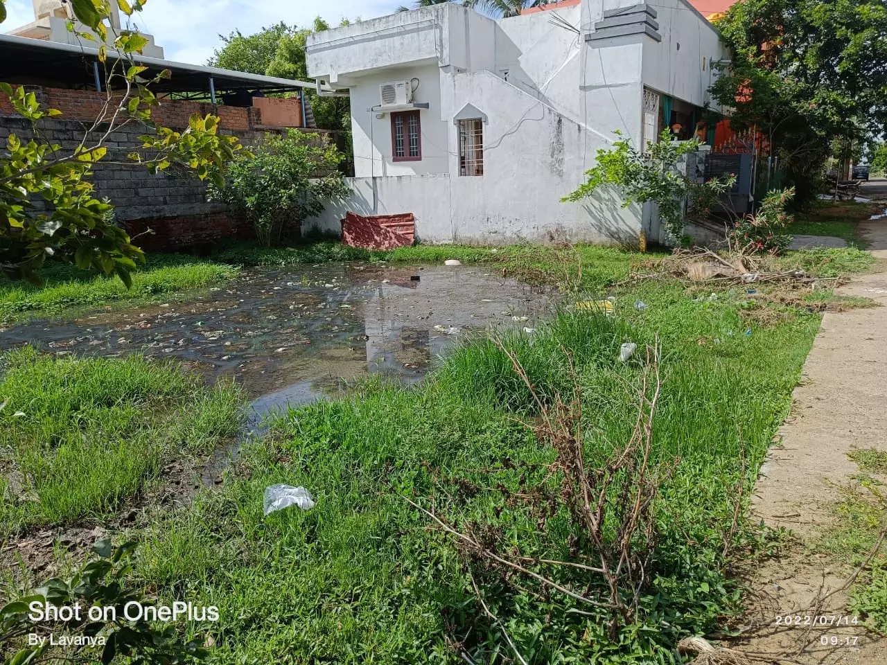 கழிவுநீர் குளம்