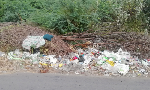 சுகாதாரக்கேடு?