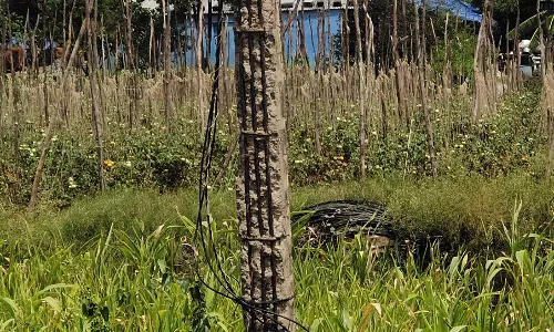 ஆபத்தான மின்கம்பம் ஆபத்தான மின்கம்பம்