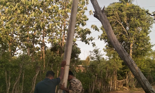 தினத்தந்தி புகார் பெட்டிக்கு நன்றி