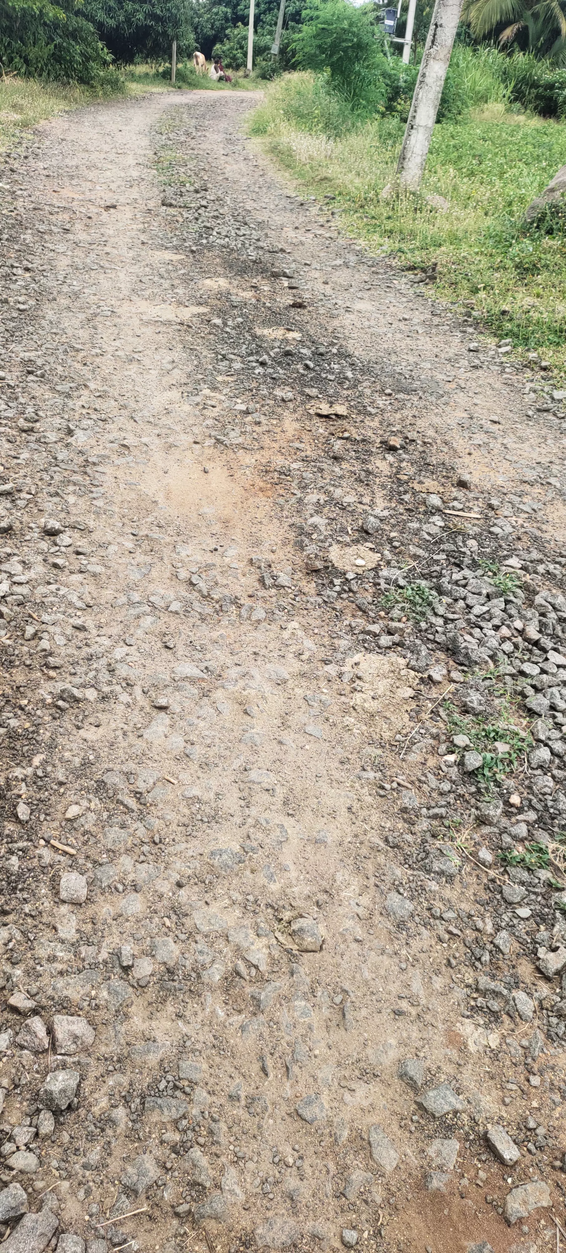 ஜல்லி கற்களாக காட்சியளிக்கும் சாலை ஜல்லி கற்களாக காட்சியளிக்கும் சாலை