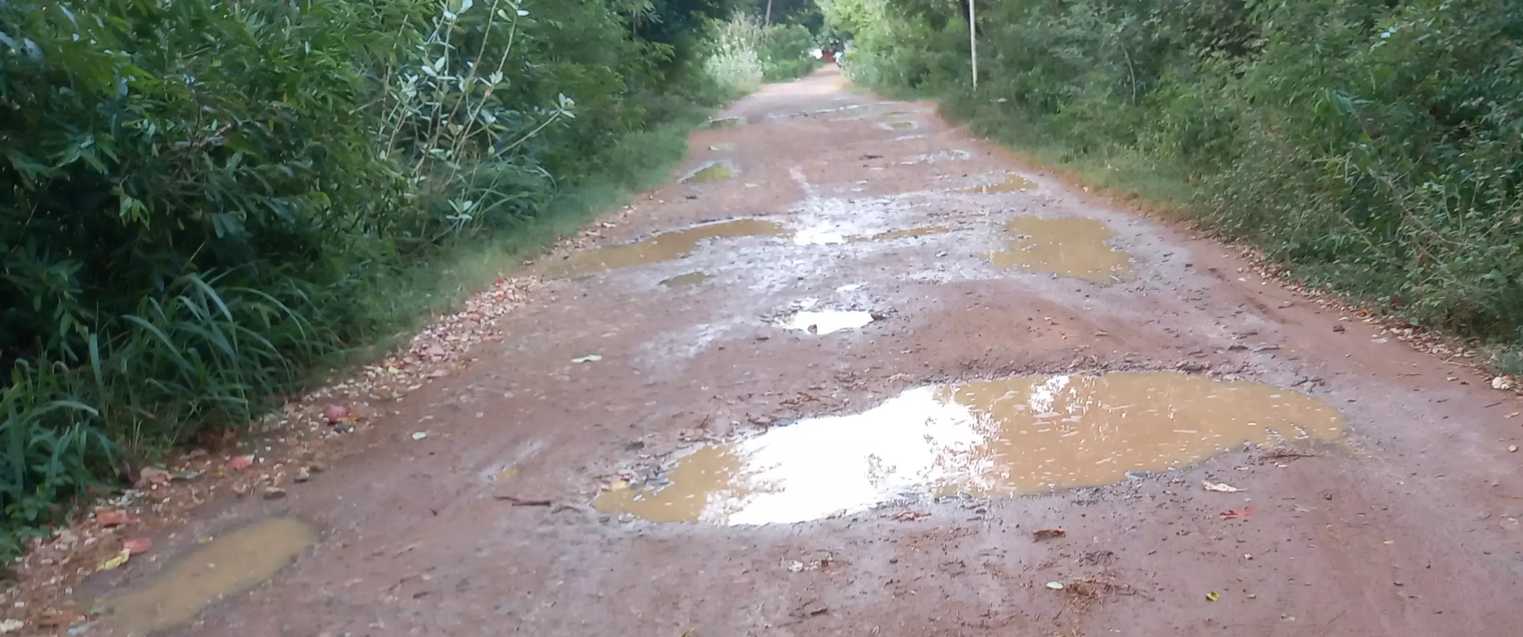 குண்டும், குழியுமான சாலை