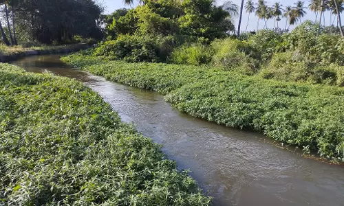 நடவடிக்கை எடுப்பார்களா?