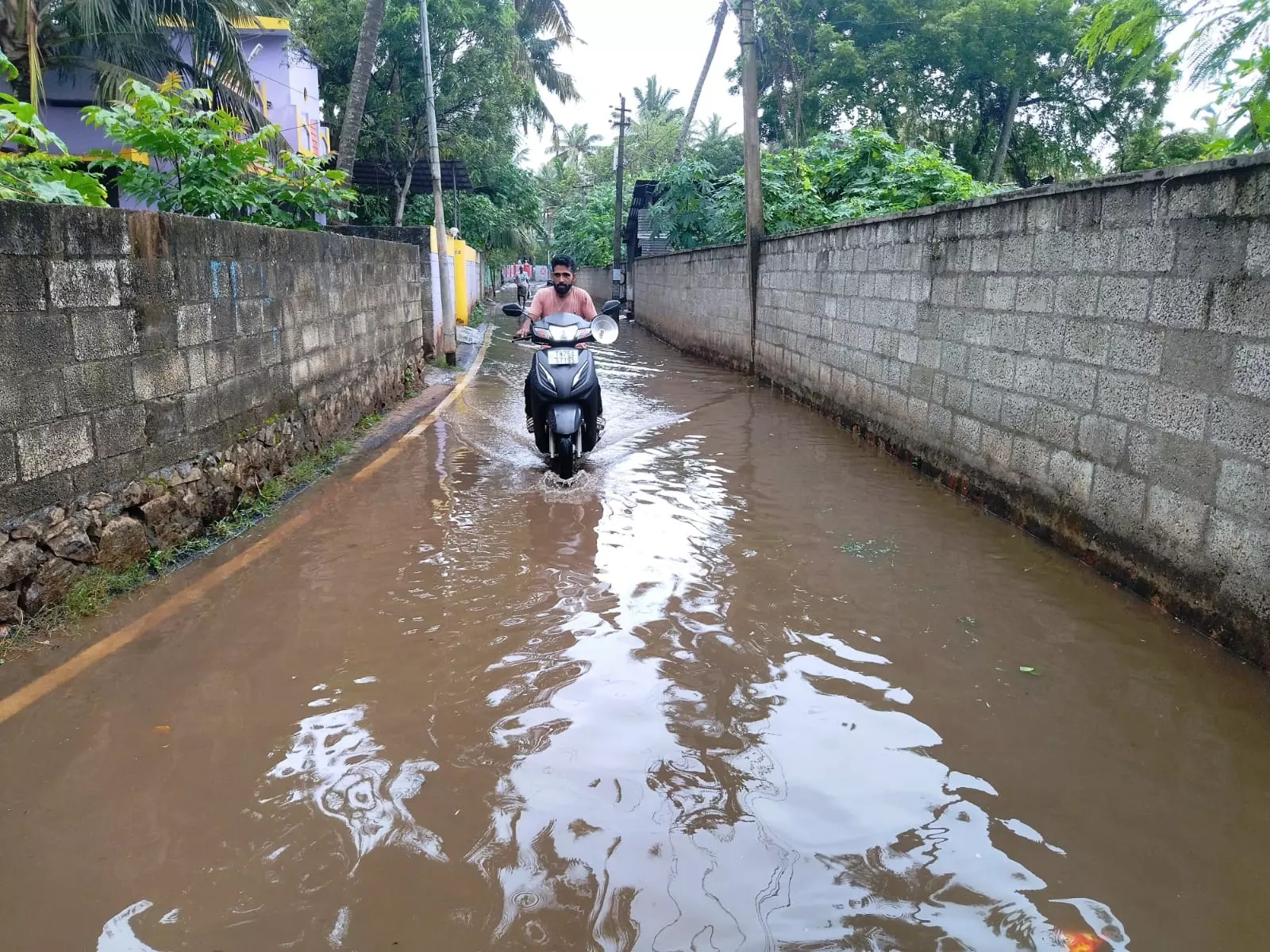 ஓடையை தூர்வார வேண்டும்
