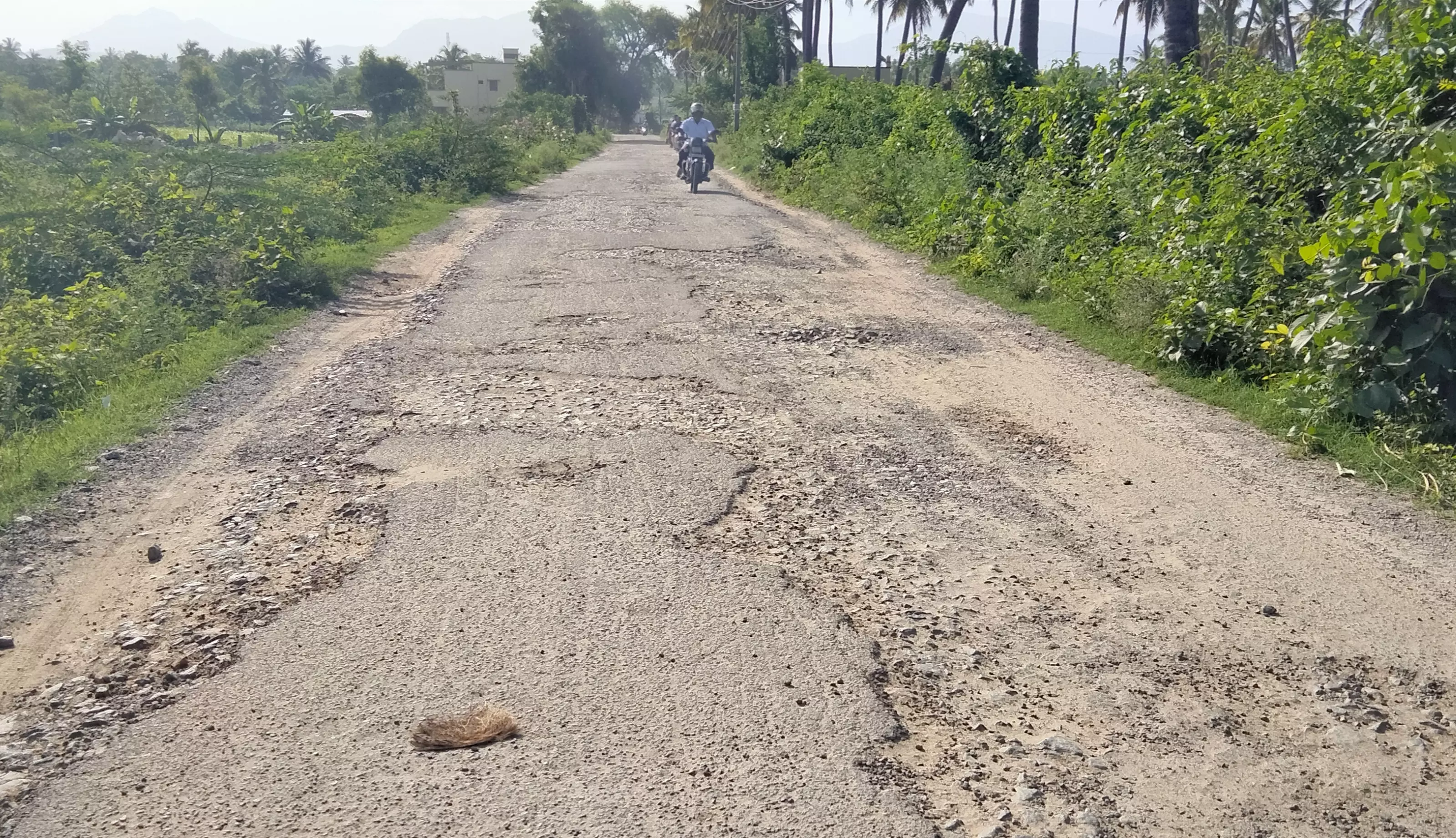 குண்டும், குழியுமான சாலை குண்டும், குழியுமான சாலை