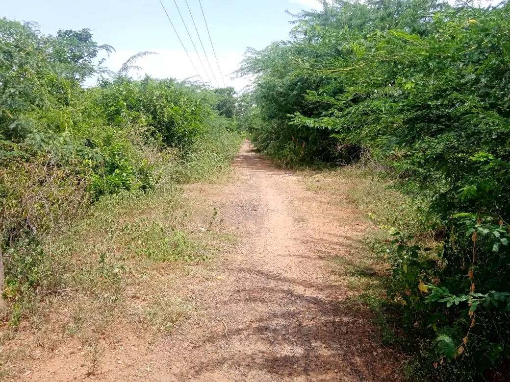 நடவடிக்கை தேவை