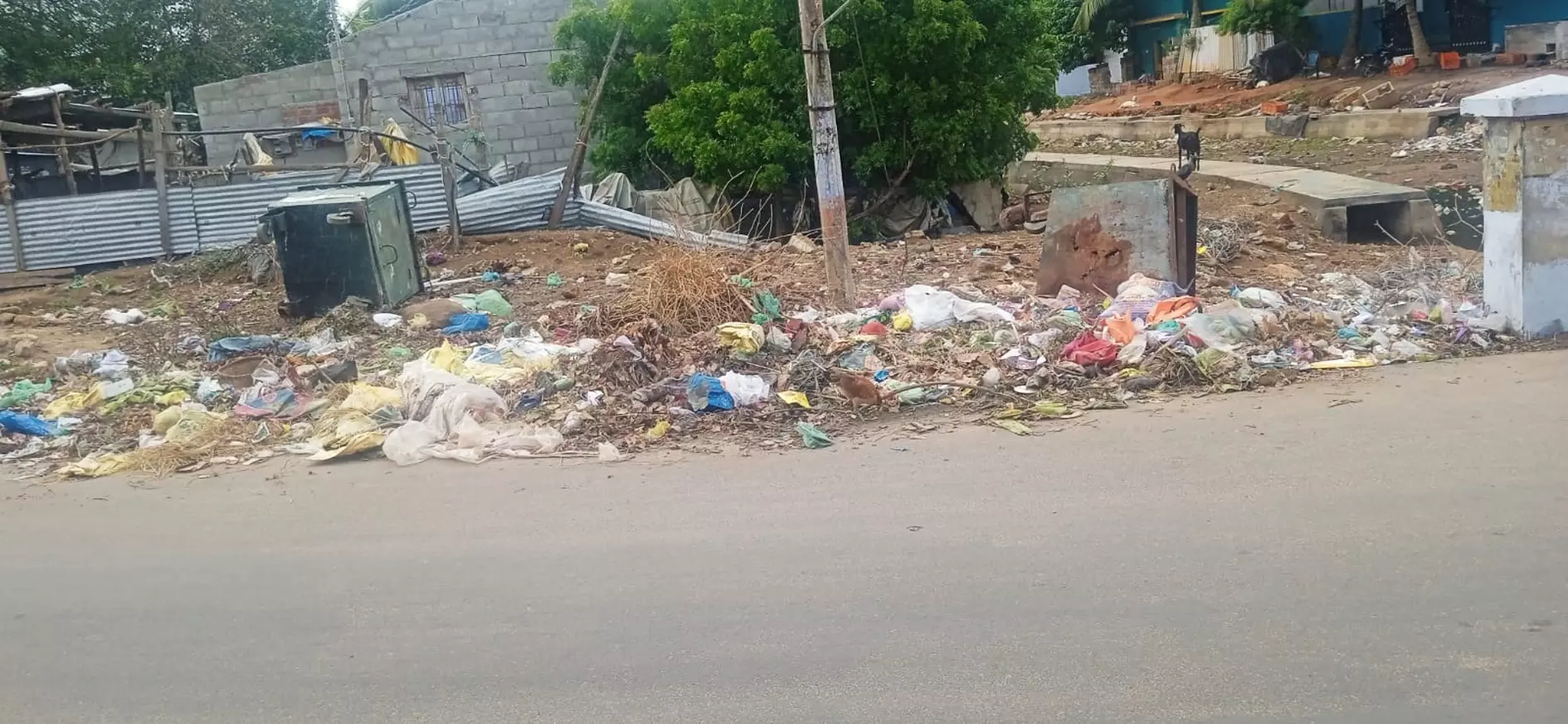 சுகாதாரக்கேடு சுகாதாரக்கேடு