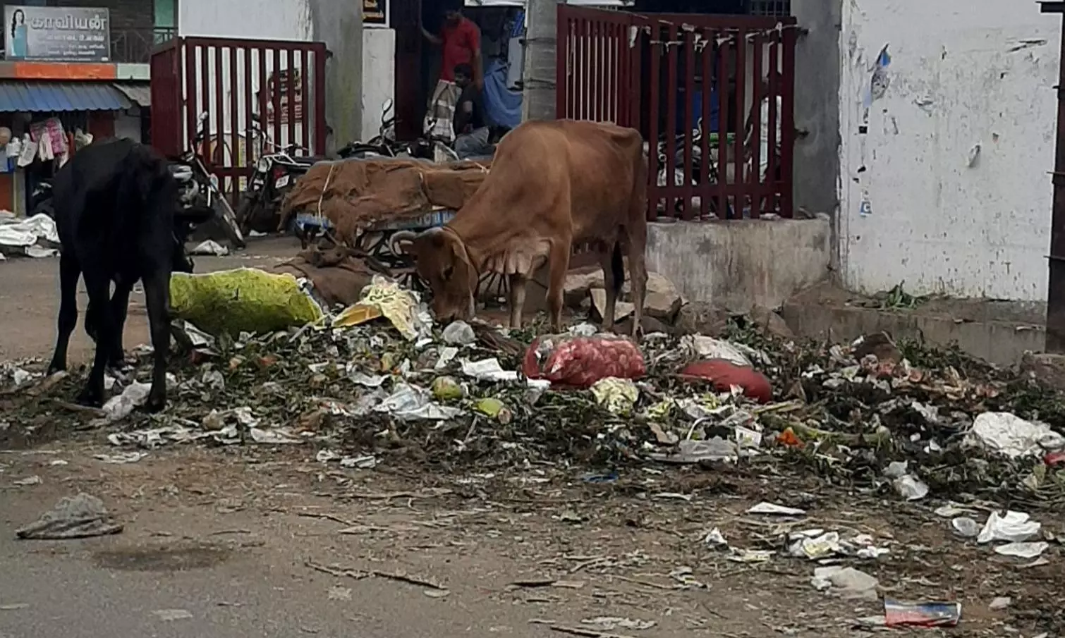 காய்கறி கழிவுகளால் துர்நாற்றம் காய்கறி கழிவுகளால் துர்நாற்றம்