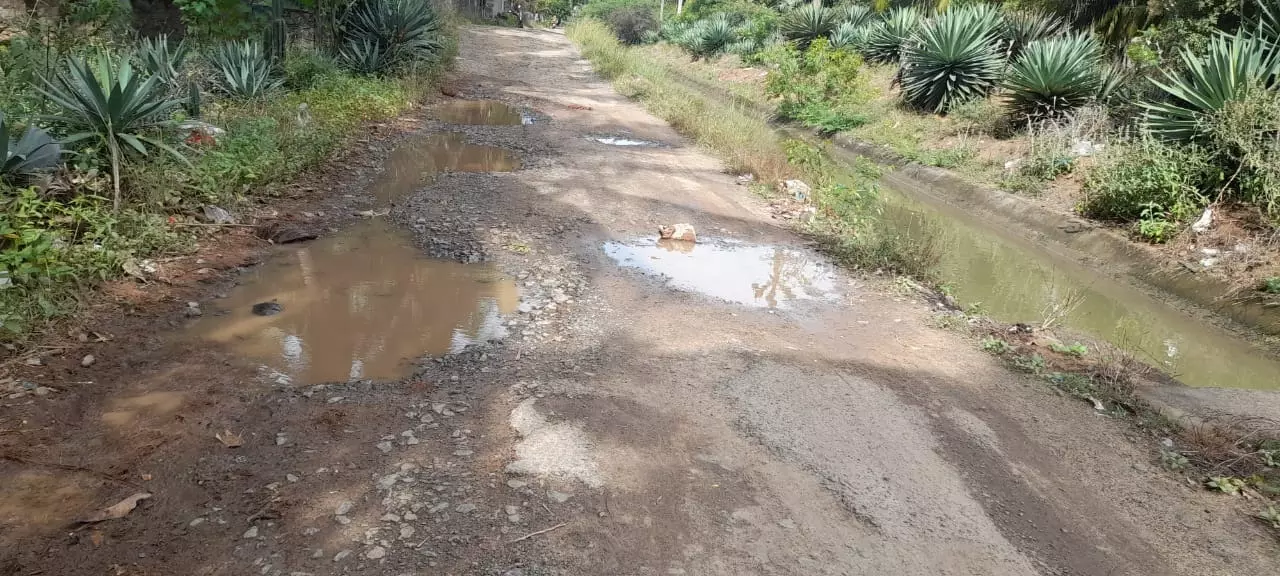 வாகன ஓட்டிகள் அவதி வாகன ஓட்டிகள் அவதி