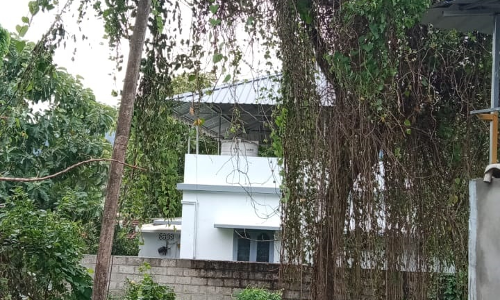 நடவடிக்கை தேவை நடவடிக்கை தேவை