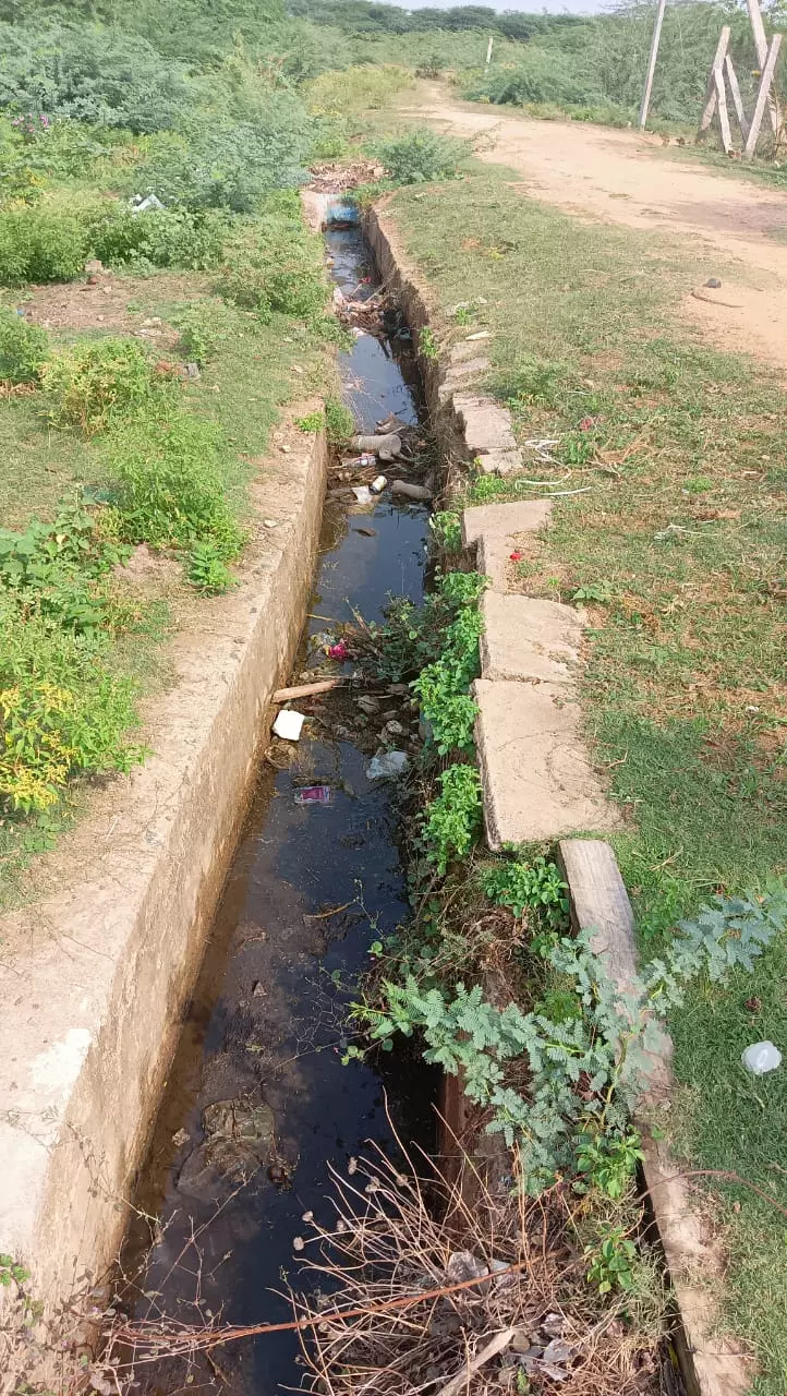 வாய்க்கால் தூர்வாரப்படுமா?